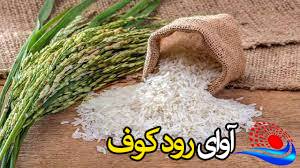 تامین یک سوم برنج مورد نیاز کهگیلویه و بویراحمد در استان