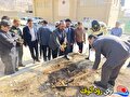 پویش ملی درختکاری در نخستین روز هفته تربیتبدنی و ورزش در لنده برگزار شد / تصاویر